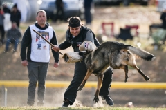 Chris Meverden & Judge vom Brickhaus. 2024 USCA GSD USP National Championship.  Promfret, CT, USA.