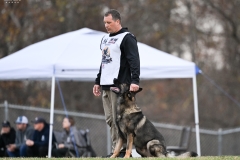 Chris Meverden & Judge vom Brickhaus. 2024 USCA GSD USP National Championship.  Promfret, CT, USA.